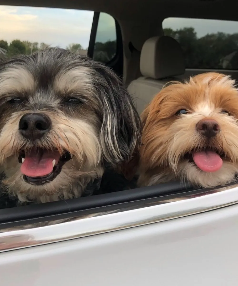 Ruby and Winnie Postma